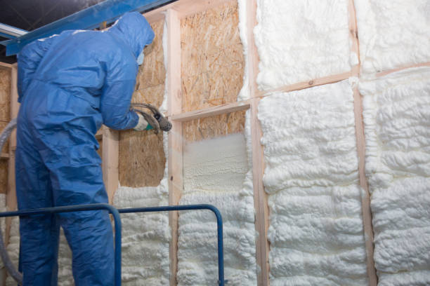 Best Blown-In Insulation  in Lecanto, FL